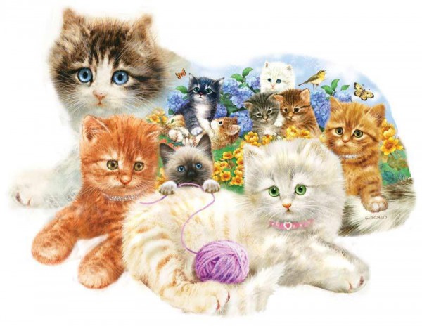 SUNSOUT, SUNSOUT-95958, 796780959583, PUZZLE SAGOMATO SUNSOUT GATTI GIORDANO STUDIOS - A LITTER OF KITTENS 1000 PZ