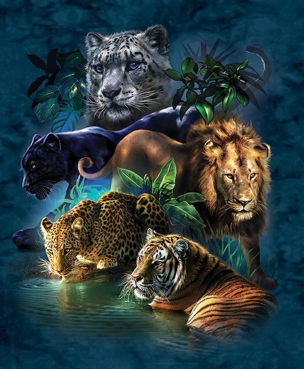 SUNSOUT, SUNSOUT-52416, 796780524163, PUZZLE ANIMALI SUNSOUT ANIMALI VARI TAMI ALBA - BIG CAT PROWESS 1000 PZ