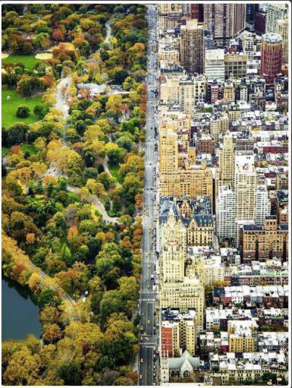 RAVENSBURGER, 16254, 4005556162543, PUZZLE PAESAGGI RAVENSBURGER CITTA CITTA DIVISA 1500 PZ