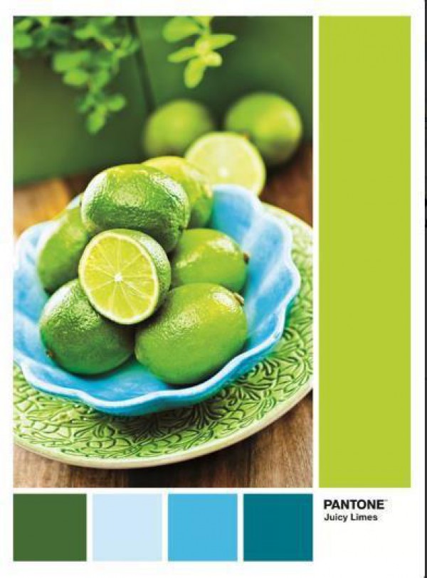 CLEMENTONI, 39492, 8005125394920, PUZZLE TEMATICO CLEMENTONI COLORI PANTONE VERDE JUICY LIMES 1000 PZ