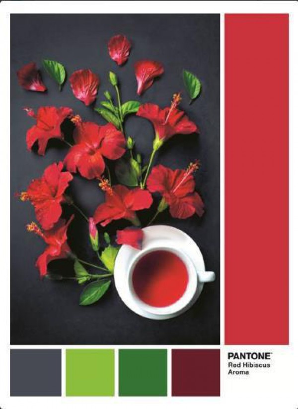 CLEMENTONI, 39494, 8005125394944, PUZZLE TEMATICO CLEMENTONI COLORI PANTONE ROSSO RED HIBISCUS AROMA 1000 PZ