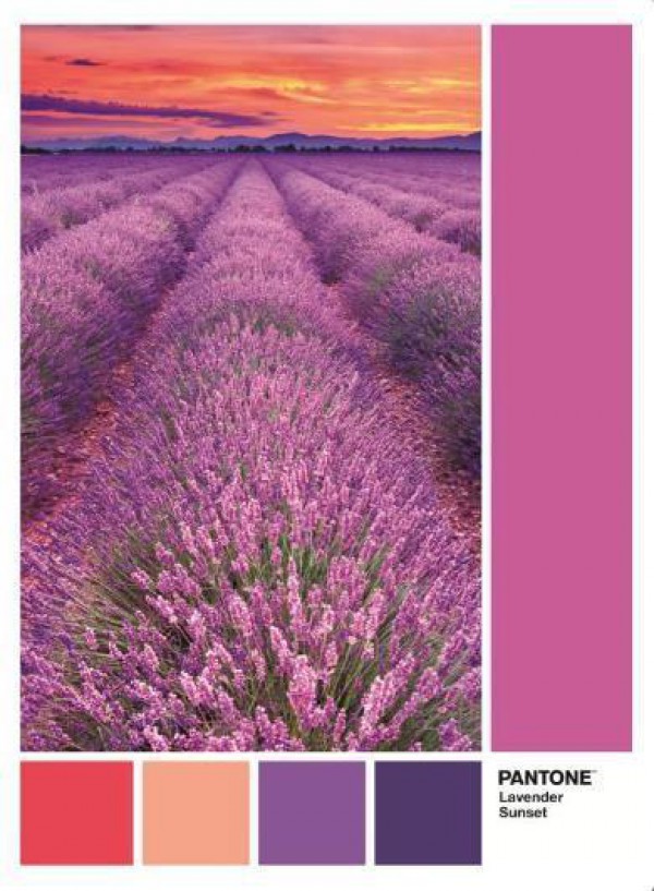 CLEMENTONI, 39493, 8005125394937, PUZZLE TEMATICO CLEMENTONI COLORI PANTONE VIOLA LAVENDER SUNSET 1000 PZ