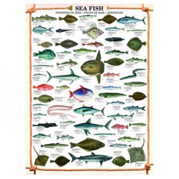 EUROGRAPHICS, 6000-0313, 628136603133, PUZZLE ANIMALI EUROGRAPHICS PESCI PESCI 1000 PZ