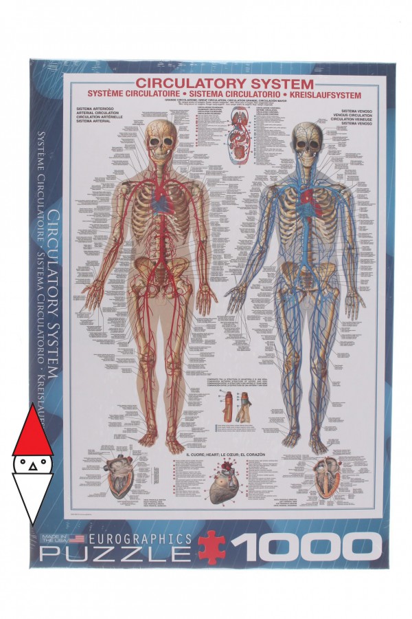EUROGRAPHICS, 6000-4940, 628136649407, PUZZLE TEMATICO EUROGRAPHICS ANATOMIA IL SISTEMA CIRCOLATORIO 1000 PZ
