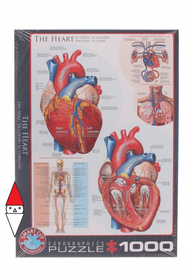 EUROGRAPHICS, 6000-0257, 628136602570, PUZZLE TEMATICO EUROGRAPHICS ANATOMIA IL CUORE 1000 PZ
