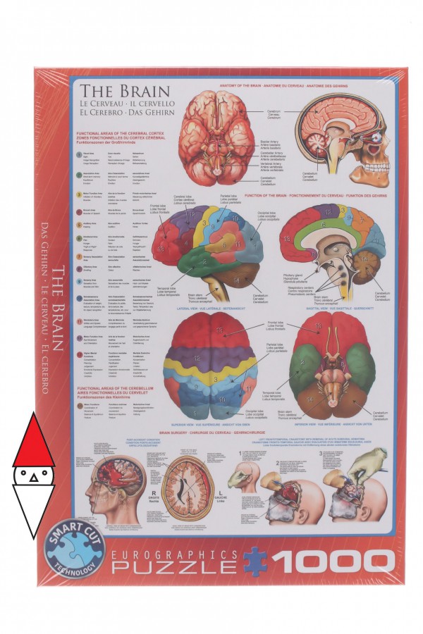 EUROGRAPHICS, 6000-0256, 628136602563, PUZZLE TEMATICO EUROGRAPHICS ANATOMIA IL CERVELLO 1000 PZ