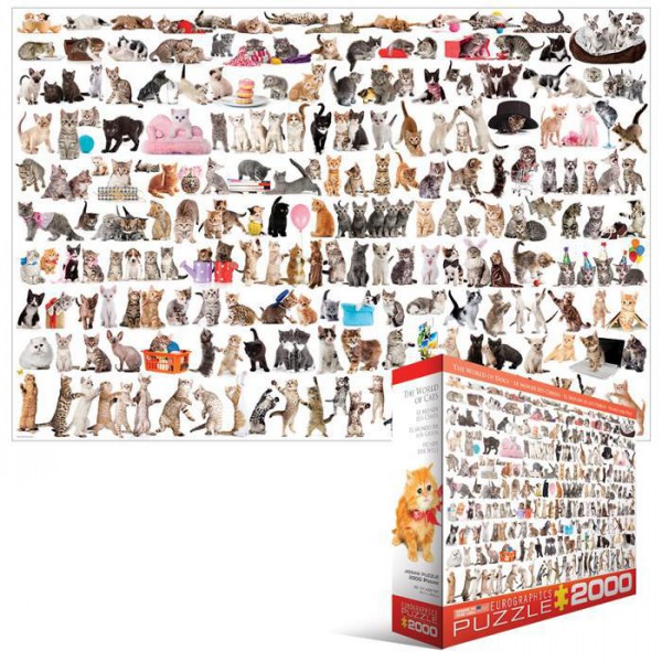 EUROGRAPHICS, 8220-0580, 628136205801, PUZZLE ANIMALI EUROGRAPHICS GATTI GATTI 2000 PZ