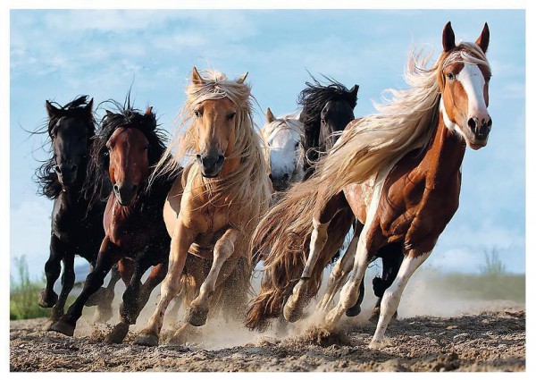 TREFL, 10446, 5900511104462, PUZZLE ANIMALI TREFL CAVALLI CAVALLI 1000 PZ