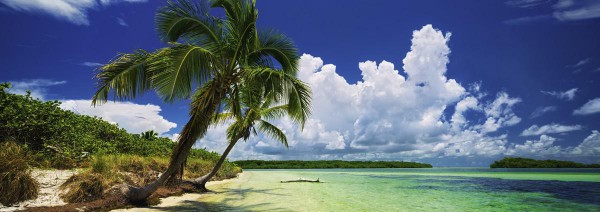 HEYE, 29860, 4001689298609, PUZZLE PAESAGGI HEYE MARE E OCEANO PANORAMA AVH PARADISE PALMS 2000 PZ