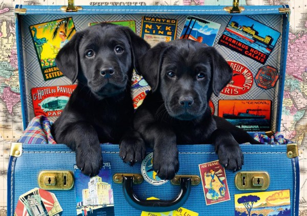 BLUEBIRD, 70328-P, 3663384703287, PUZZLE ANIMALI BLUEBIRD CANI TRAVEL LABS 1000 PZ