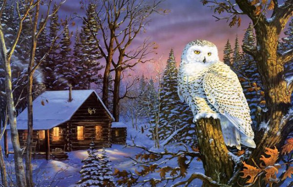SUNSOUT, 71230, 796780712300, PUZZLE PAESAGGI SUNSOUT INVERNO TERRY DOUGHTY - NIGHT WATCH 1000 PZ