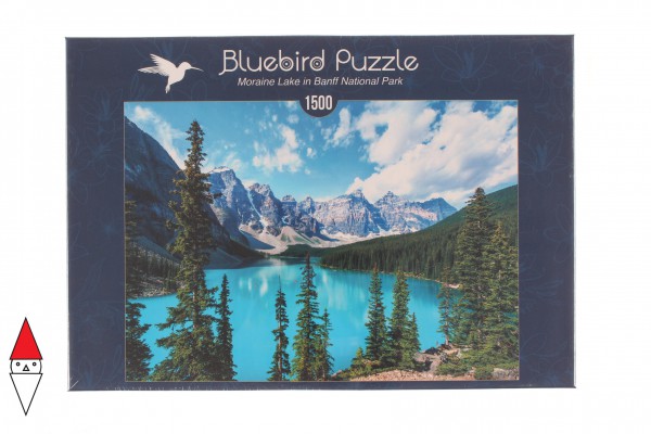 Bluebird 70436