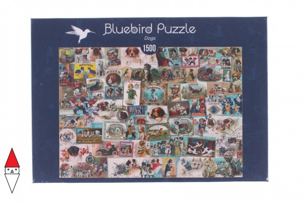 Bluebird 70469