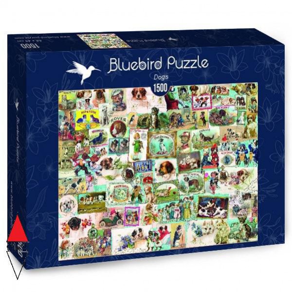 Bluebird 70469