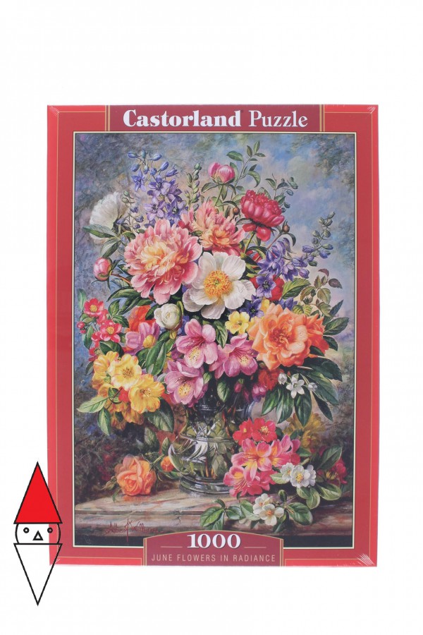 CASTORLAND 103904