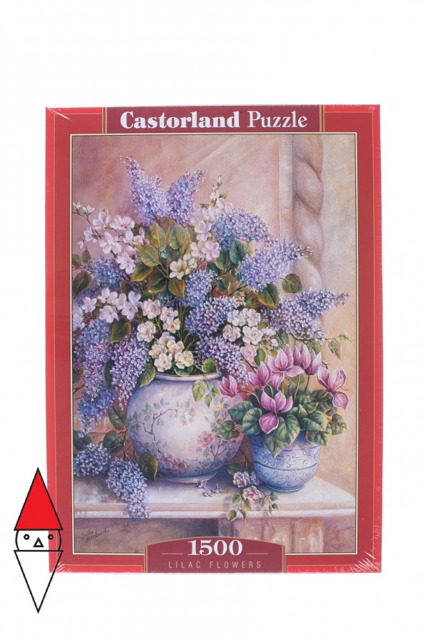 CASTORLAND 151653