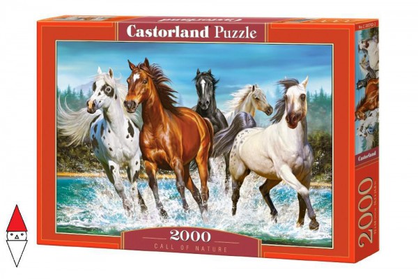 CASTORLAND 200702