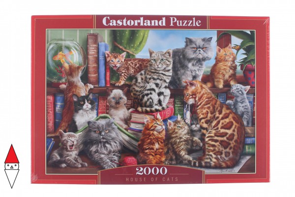 CASTORLAND 200726