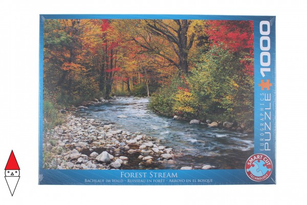 EUROGRAPHICS 6000-2132