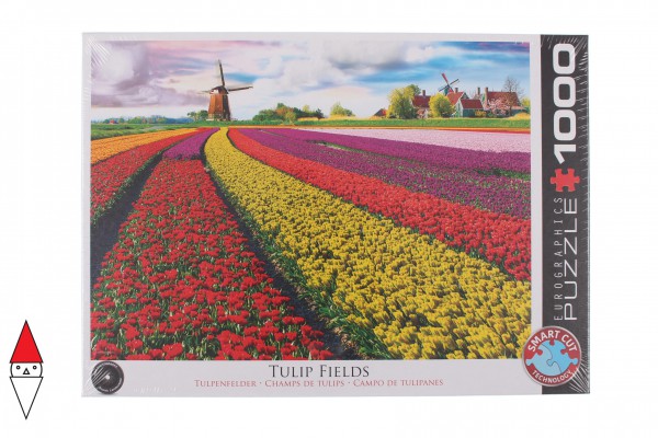 EUROGRAPHICS 6000-5326
