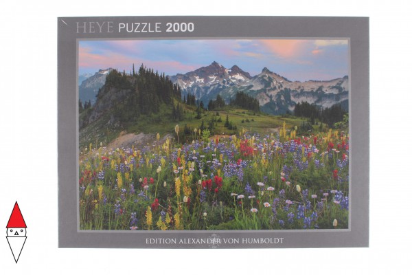 HEYE 29903
