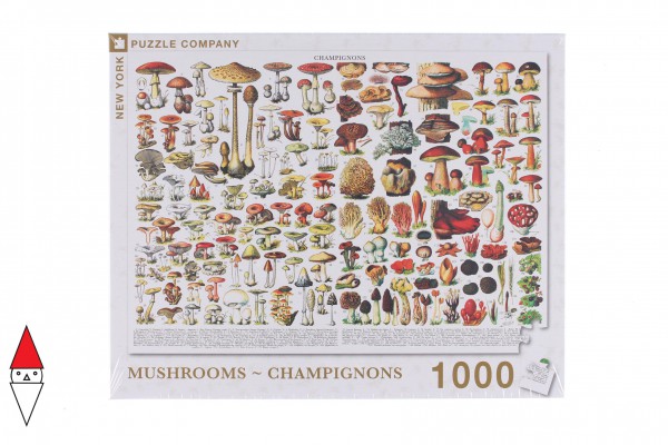 NEW YORK PUZZLE PD638
