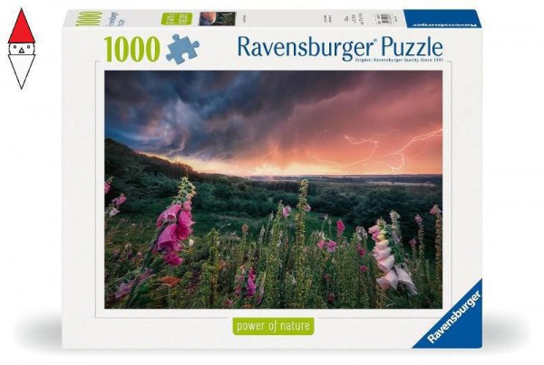 RAVENSBURGER 12000793