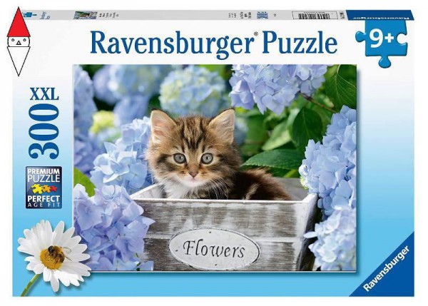 RAVENSBURGER 12894