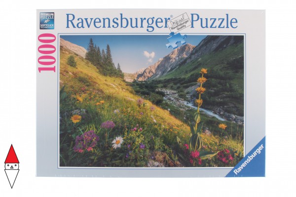 RAVENSBURGER 15996