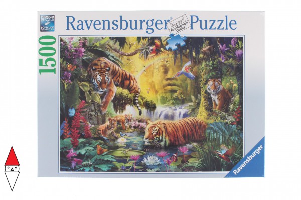 RAVENSBURGER 16005