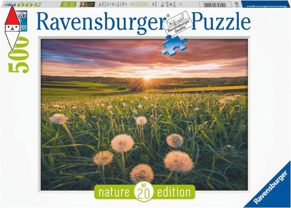 RAVENSBURGER 16990