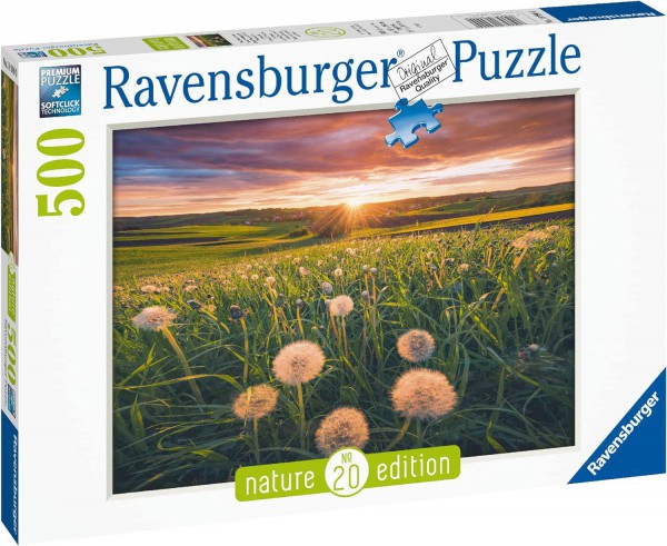 RAVENSBURGER 16990