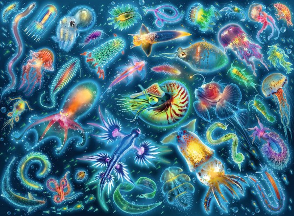 RAVENSBURGER 17375