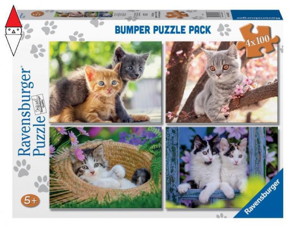 RAVENSBURGER 5623