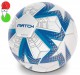 Precedente