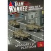 FLAMES OF WAR FOW-TSBX11