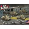 FLAMES OF WAR FOW-TUBX10