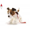 PLUSH-COMPANY 15782