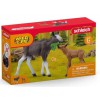 SCHLEICH 42629