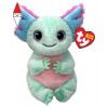 TY T41510