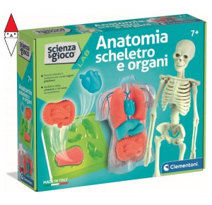 , , , GIOCO EDUCATIVO CLEMENTONI ANATOMIA SCHELETRO E ORGANI