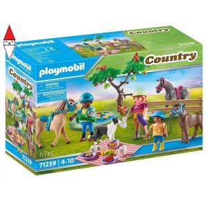 , , , COSTRUZIONE PLAYMOBIL PICNIC COI CAVALLI