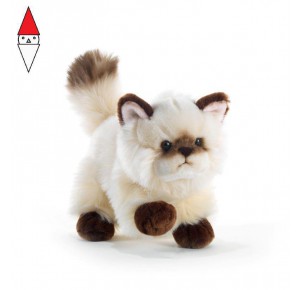 , , , PELUCHE PLUSH-COMPANY THAYTOO GATTO COLOR POINT L.21 CM