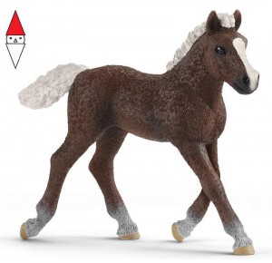 , , , ACTION FIGURE SCHLEICH PULEDRO FORESTA NERA (SERIE FARM WORLD FATTORIA)