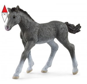 , , , ACTION FIGURE SCHLEICH TRAKEHNER FOAL (SERIE HORSE CLUB CAVALLI)