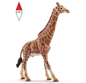 , , , ACTION FIGURE SCHLEICH GIRAFFA MASCHIO (SERIE WILD LIFE ANIMALI SELVAGGI)