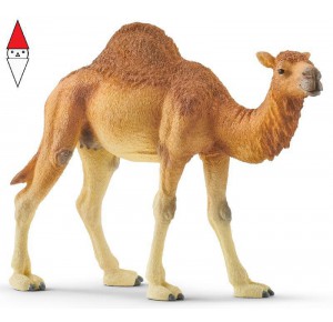 , , , ACTION FIGURE SCHLEICH DROMEDARIO (SERIE WILD LIFE ANIMALI SELVAGGI)