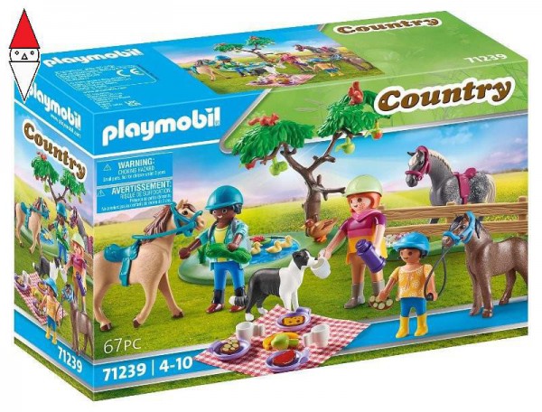 PLAYMOBIL 71239