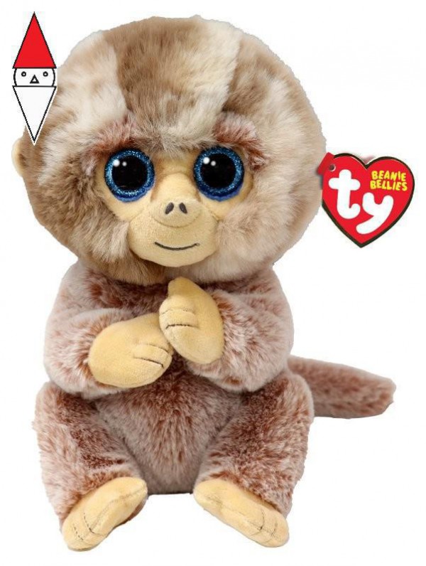 TY T43211