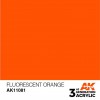AK INTERACTIVE AK11081
